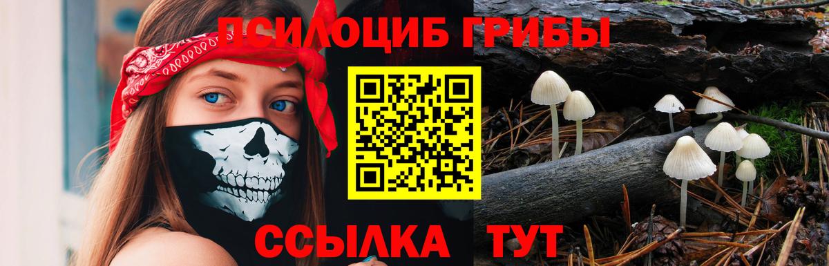 Богородицк  Галлюциногенные грибы Psilocybine cubensis  Галлюциногенные грибы MAGIC MUSHROOMS  Вход с VPN 
